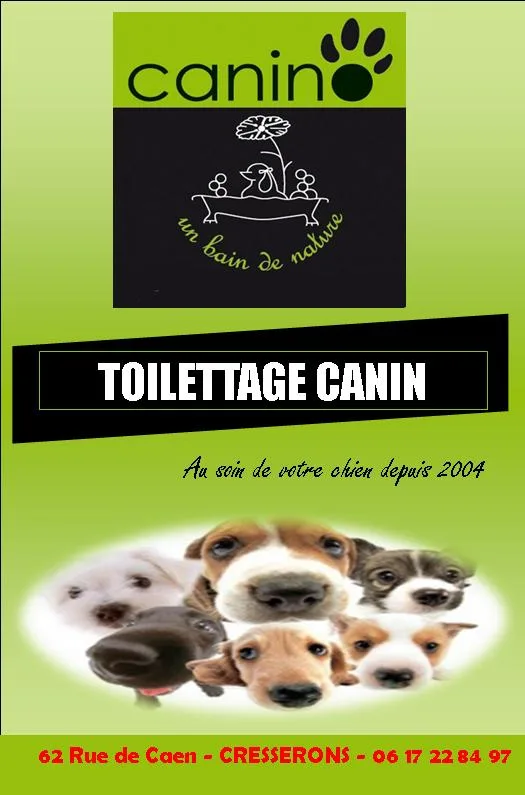 CANINO - photo 1