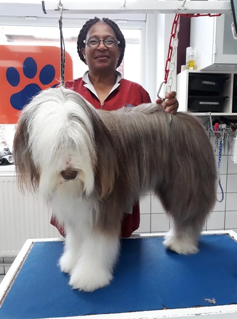 Univers canin et félin - photo 1