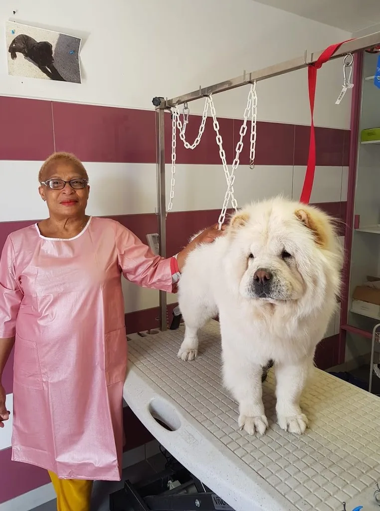 Univers canin et félin - photo 2
