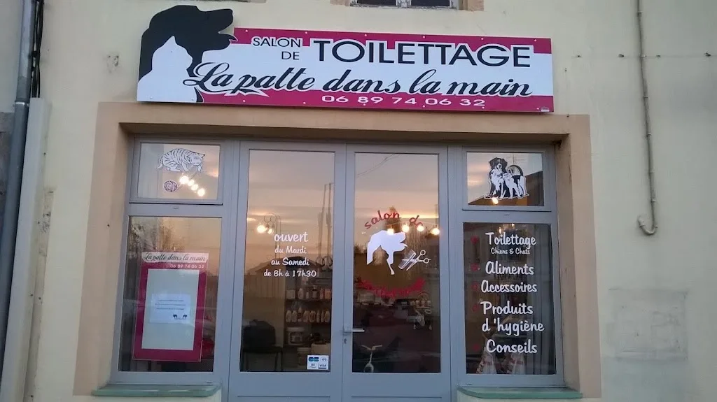 La patte dans la main - photo 1