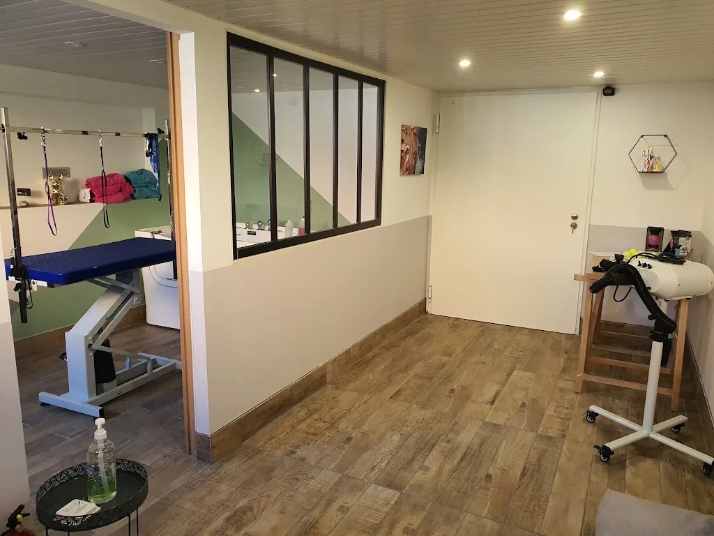 4 SPAttou Zen - photo 1