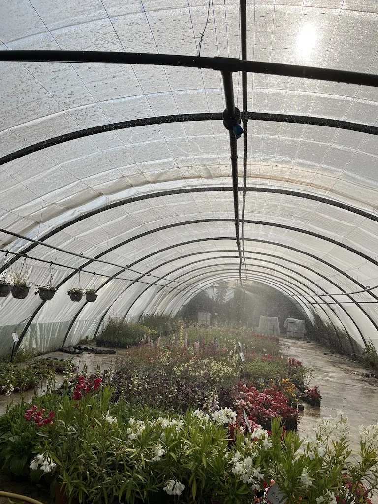 JARDILAND - photo 2