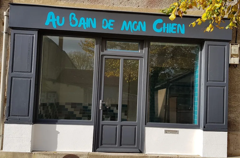 Au Bain de mon Chien - photo 3