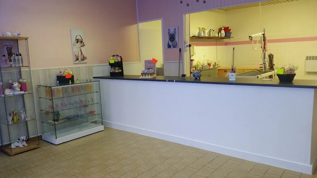 Cab'Hochard (Salon de Toilettage Canin) - photo 2