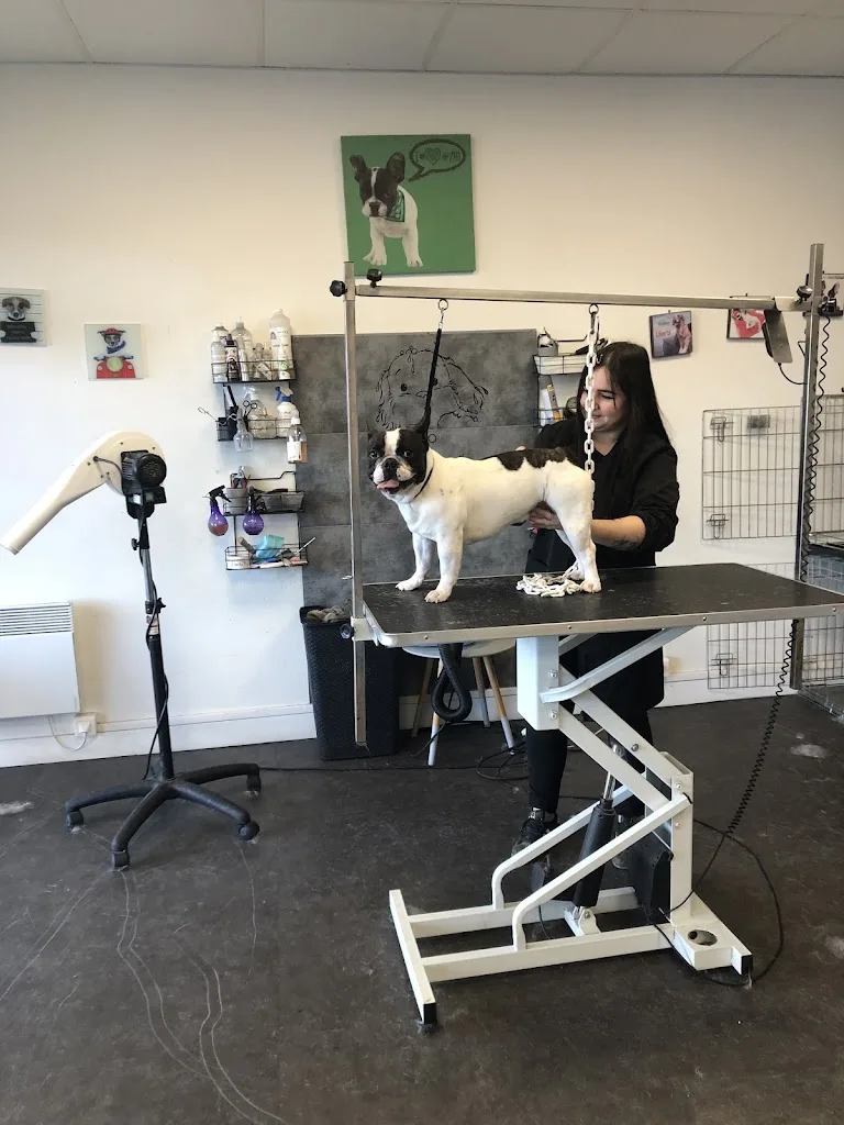 Séduction canine - photo 1