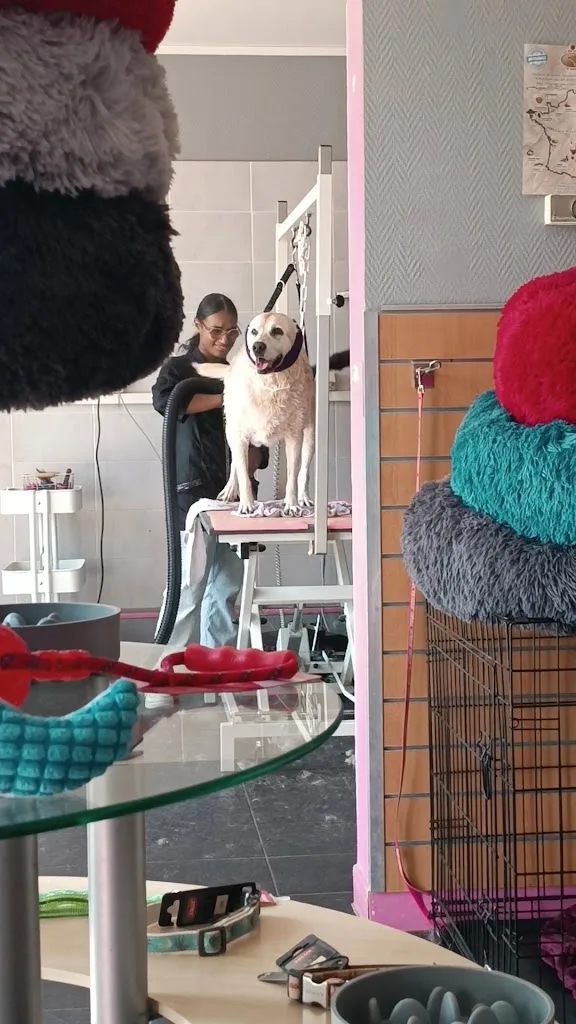 Dog'Seduction - photo 3