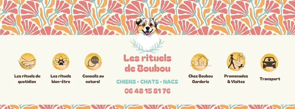 Les rituels de Boubou - photo 1