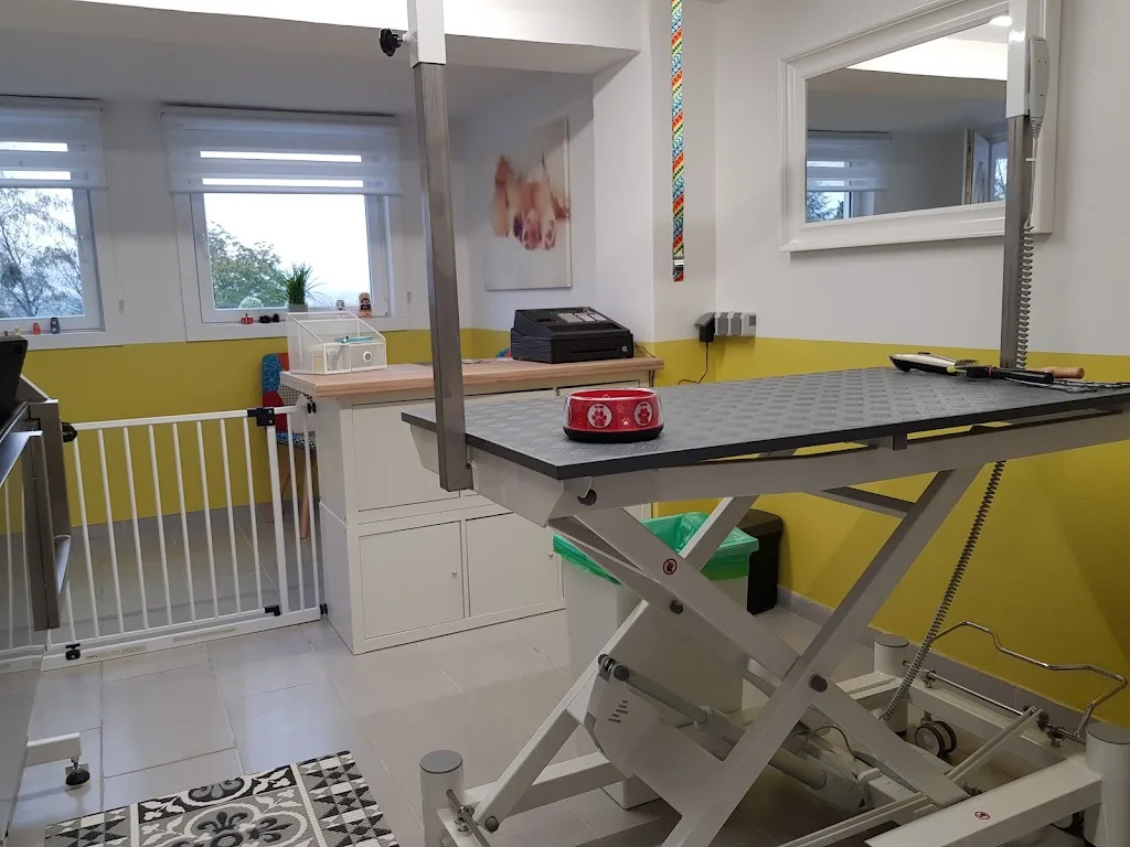 Wuschl Werk - Hundesalon Katzensalon - photo 1