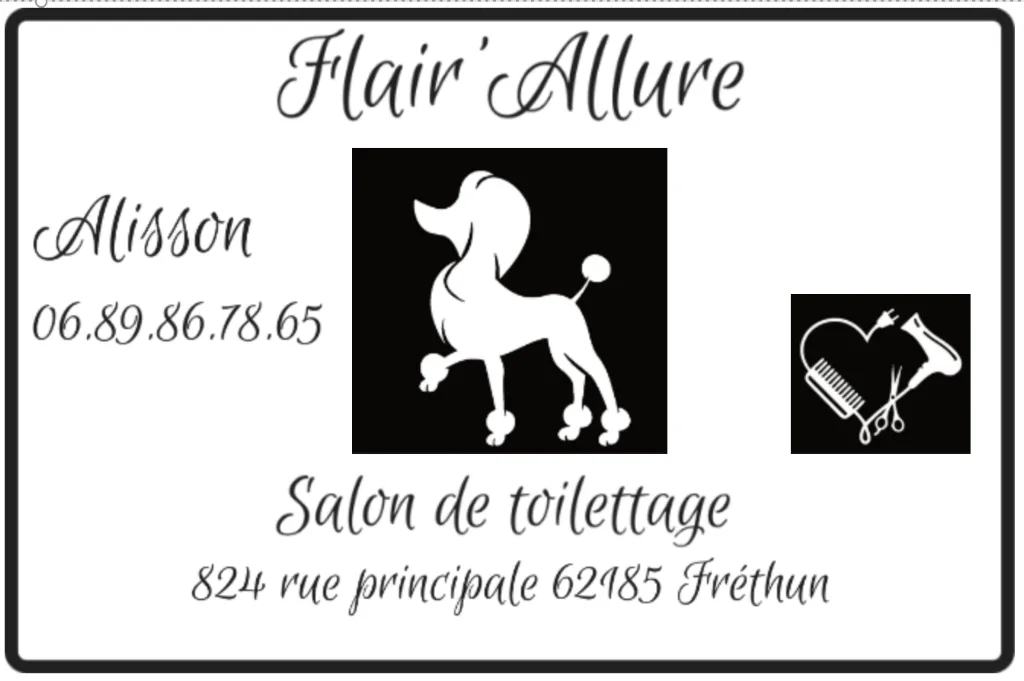 flair'allure - photo 1