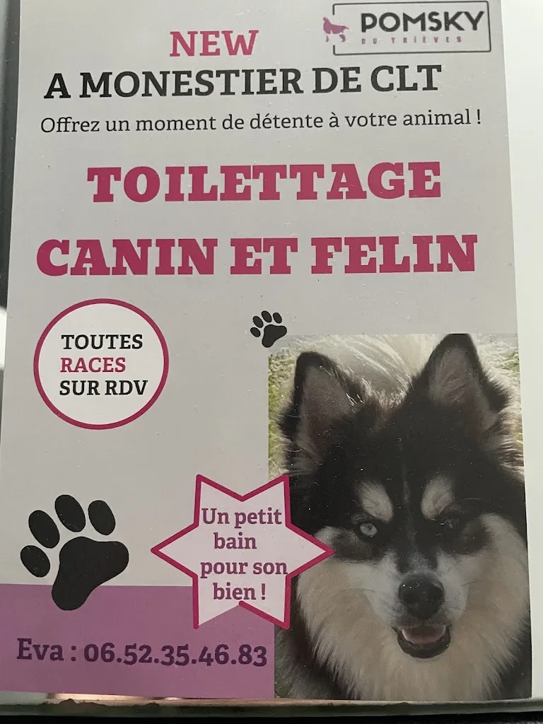 Toilettage Trieves - photo 1