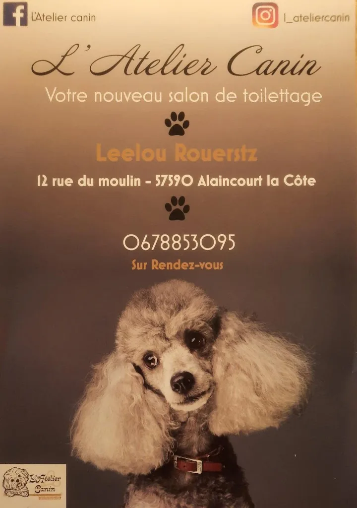 L'Atelier Canin - Salon de Toilettage - photo 1