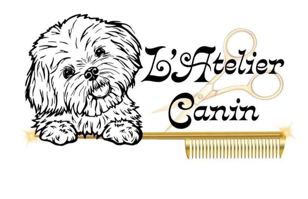 L'Atelier Canin - Salon de Toilettage - photo 2