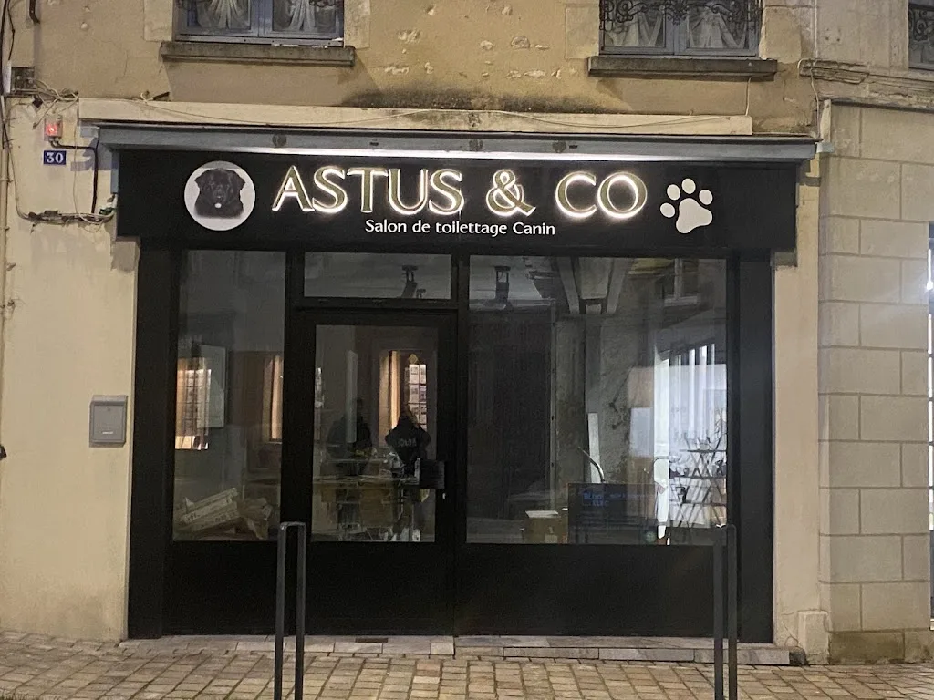 Astus Et Compagnie - photo 2