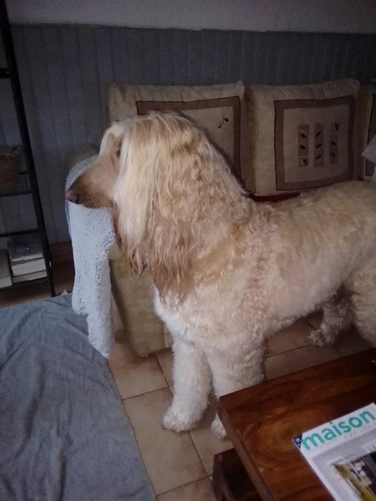 Esthe Ty Chien - photo 2