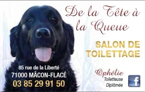 Toutou Coiff' - photo 2
