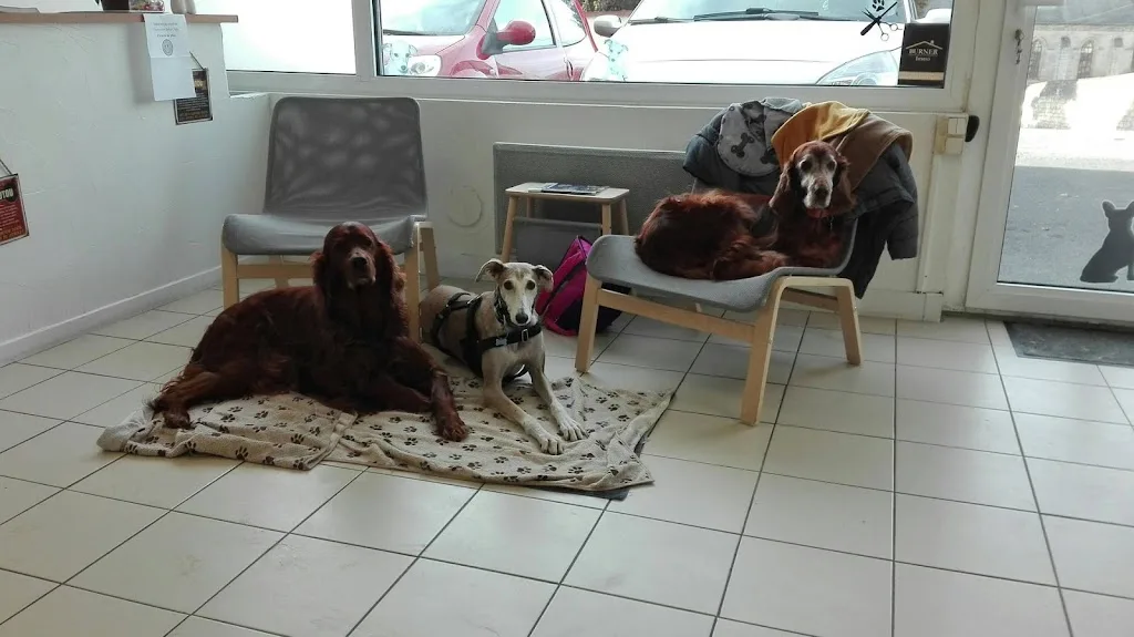 Salon De Toilettage Delphine - photo 2