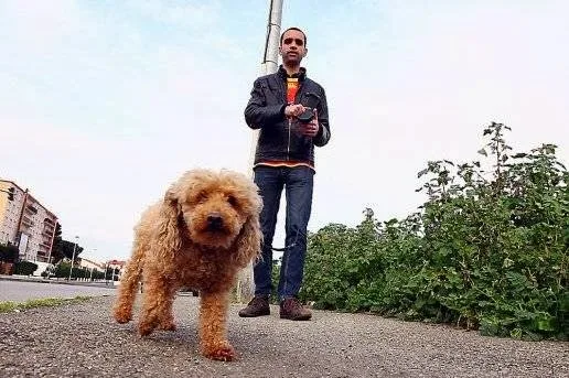 Garde Animaux Perpignan - photo 3