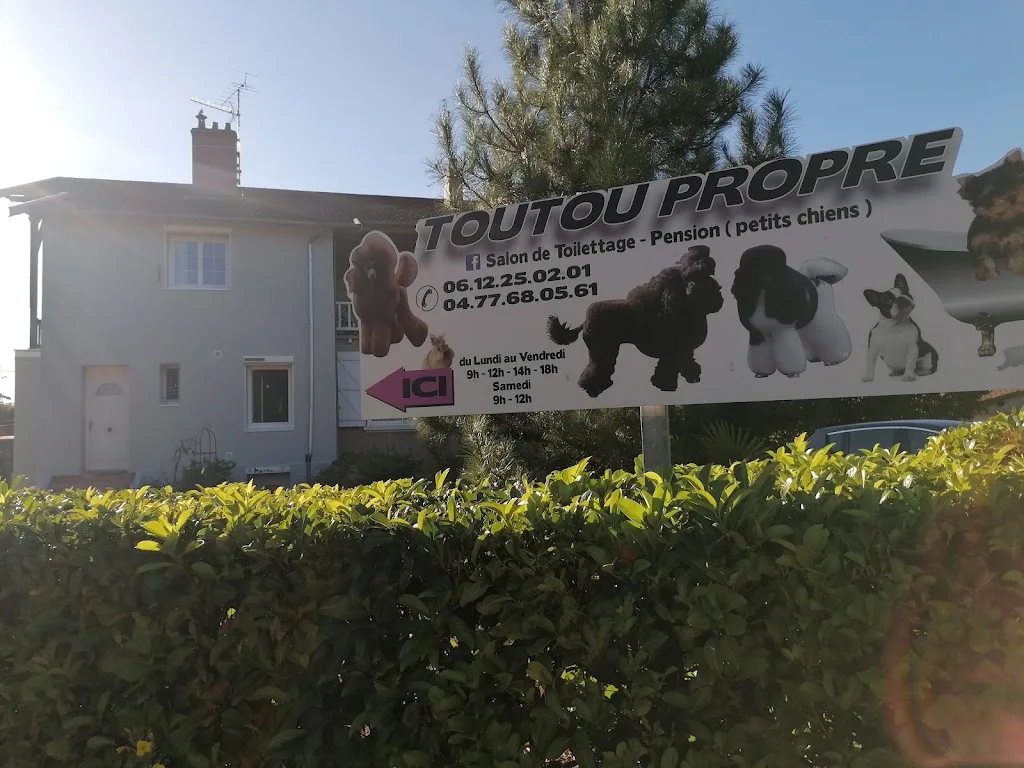 Toutou Propre - photo 1