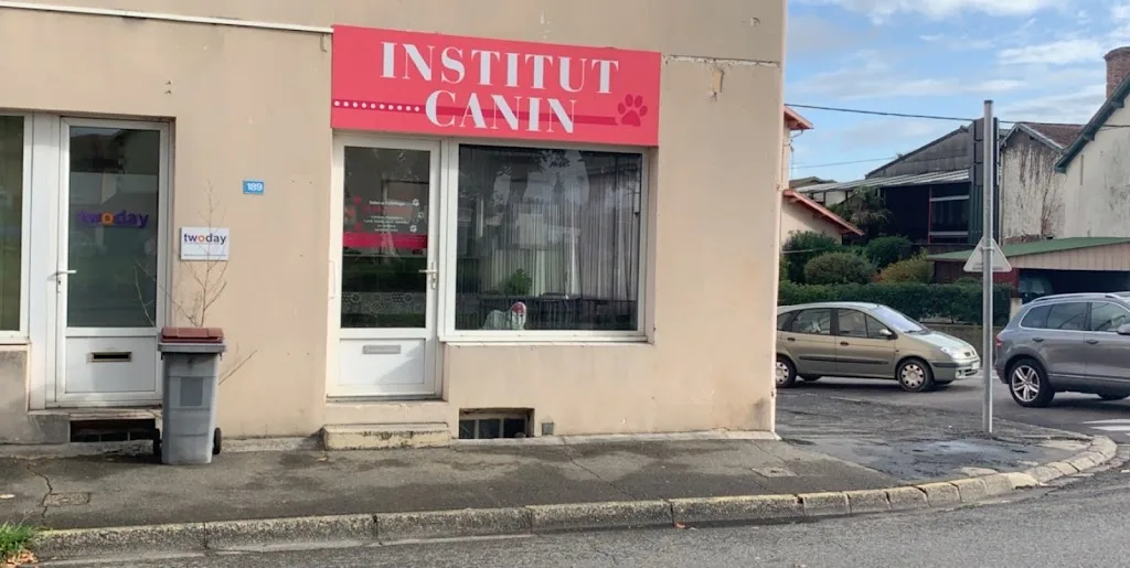 Chat'D'Coiff & Co' (Toilettage à domicile sans camion) - photo 2