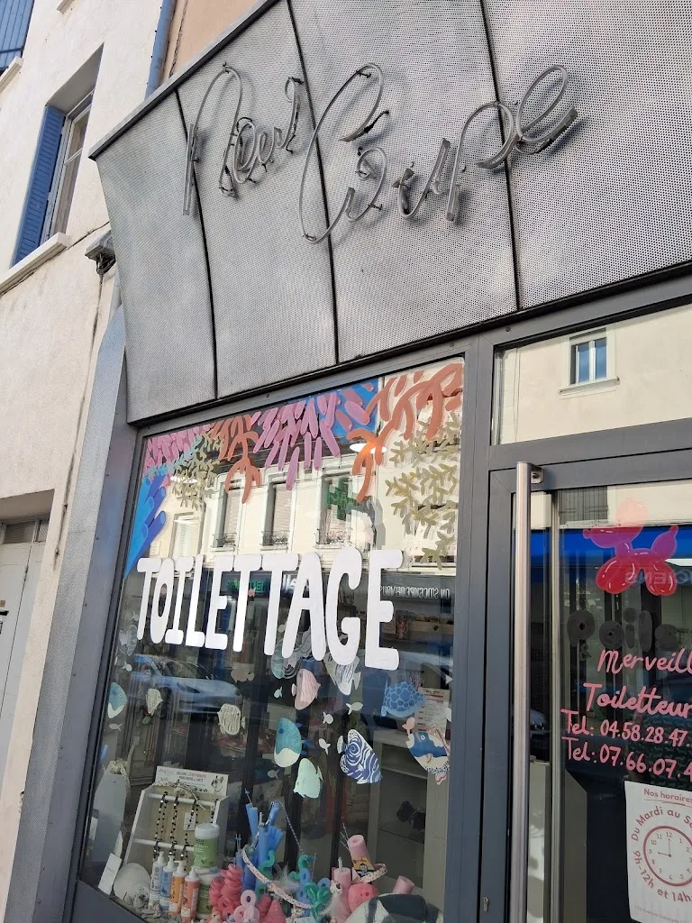 Poils & Merveilles - photo 2