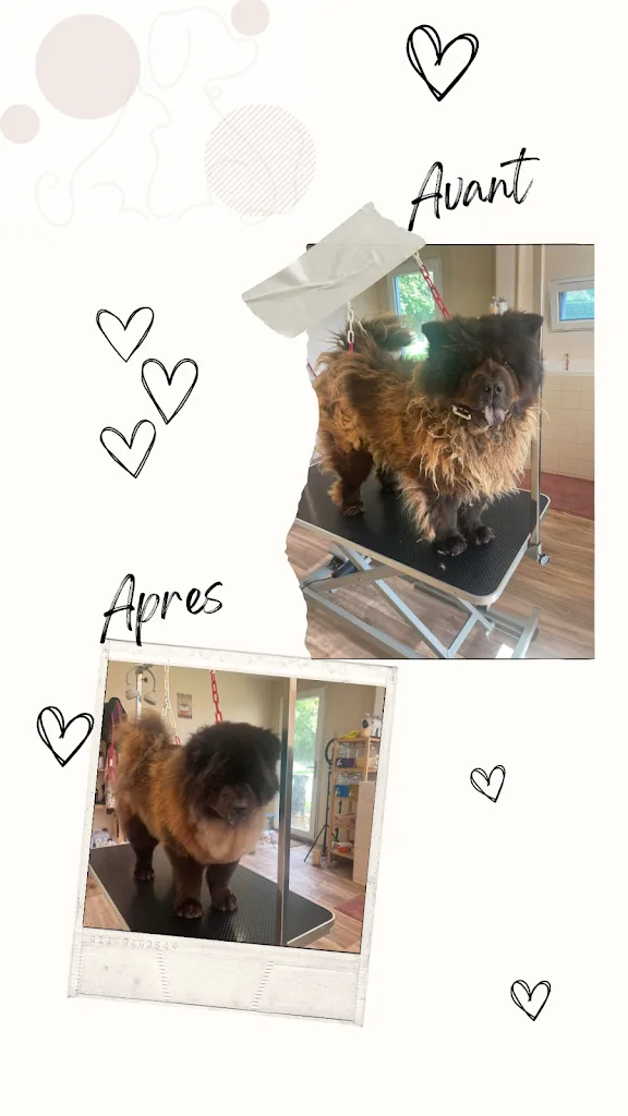 La magie des poils - photo 2