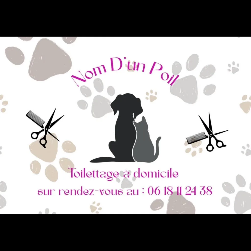 Toiletteuse à domicile Nom D'un Poil - photo 1