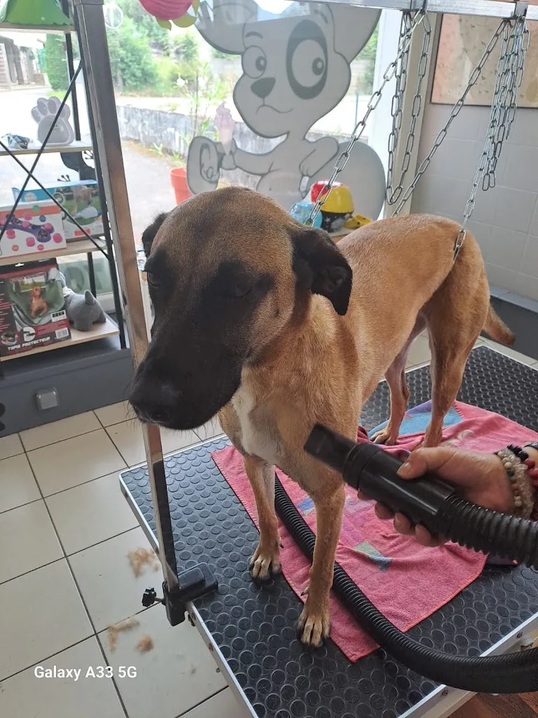Le repaire des chiens - photo 2