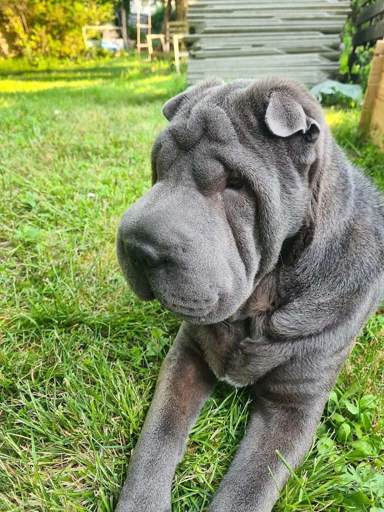 Toutoustar 24 - photo 2
