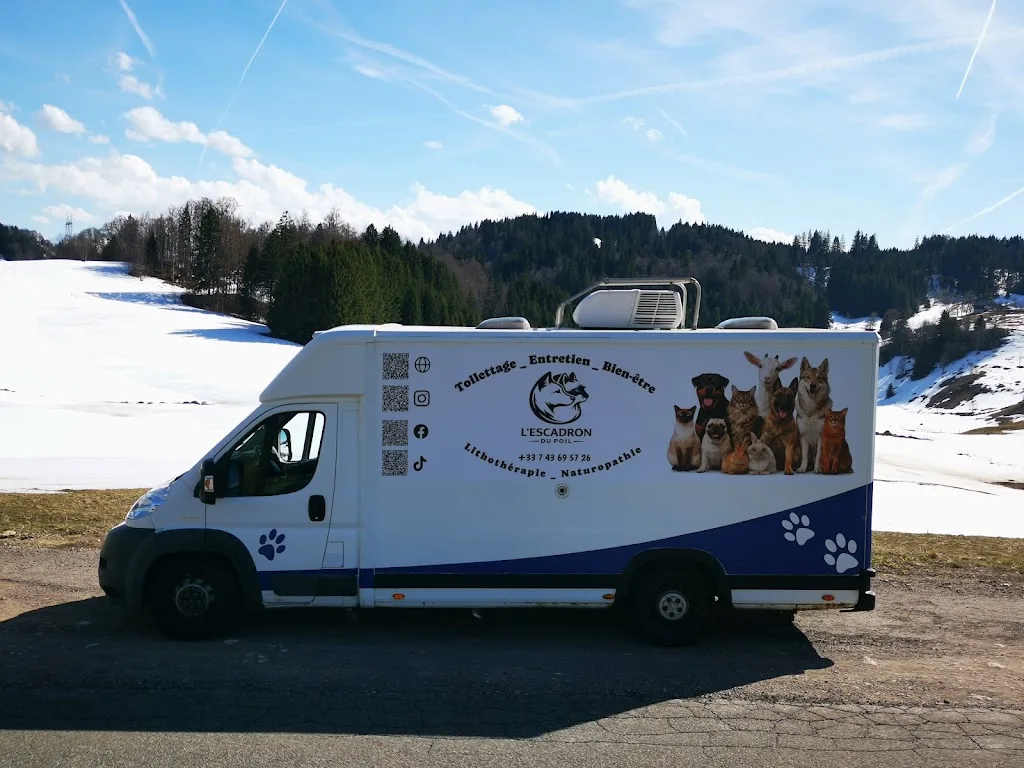 L'Escadron du Poil - photo 2