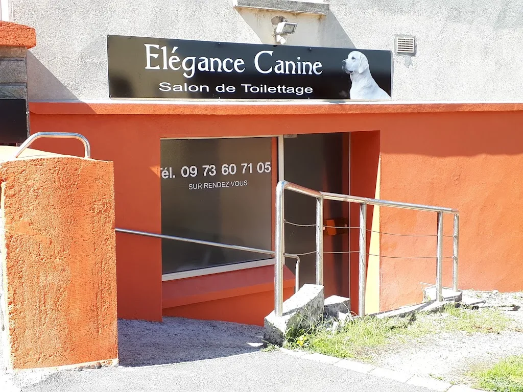 Elégance Canine - photo 3