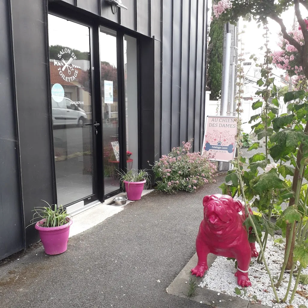 Au Chien Des Dames - photo 1
