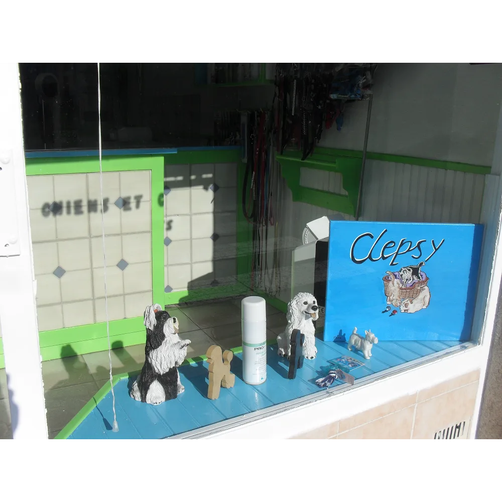 Clepsy - photo 2
