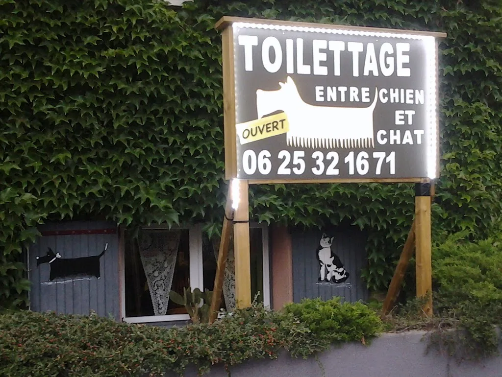 Entre Chien et Chat - photo 3