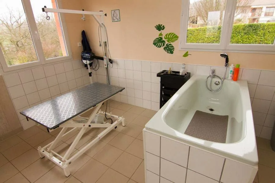 Look Canin | Salon de toilettage canin - photo 2