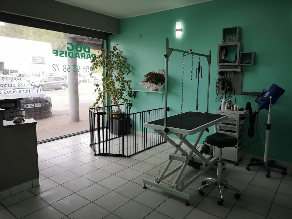 Dog Paradise - photo 3