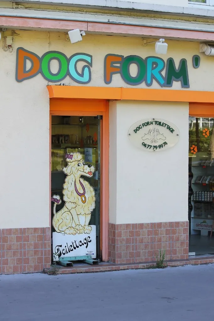 Élégance canine - photo 2