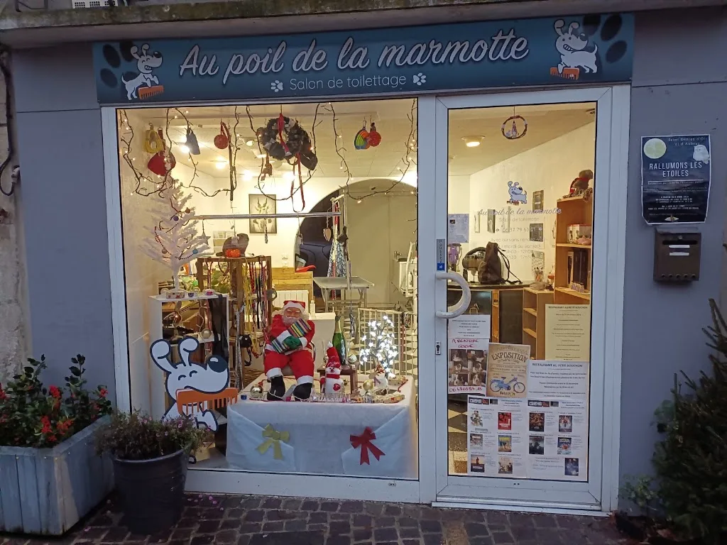 Au poil de la marmotte - photo 2