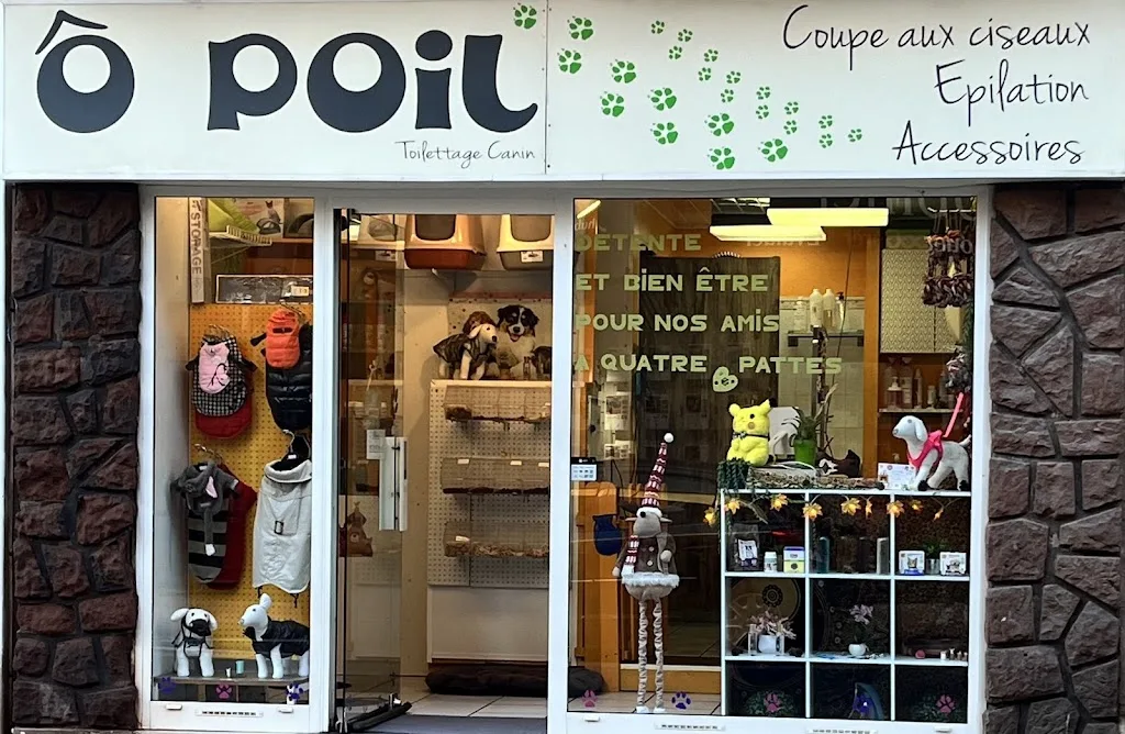 Au poil de la marmotte - photo 3