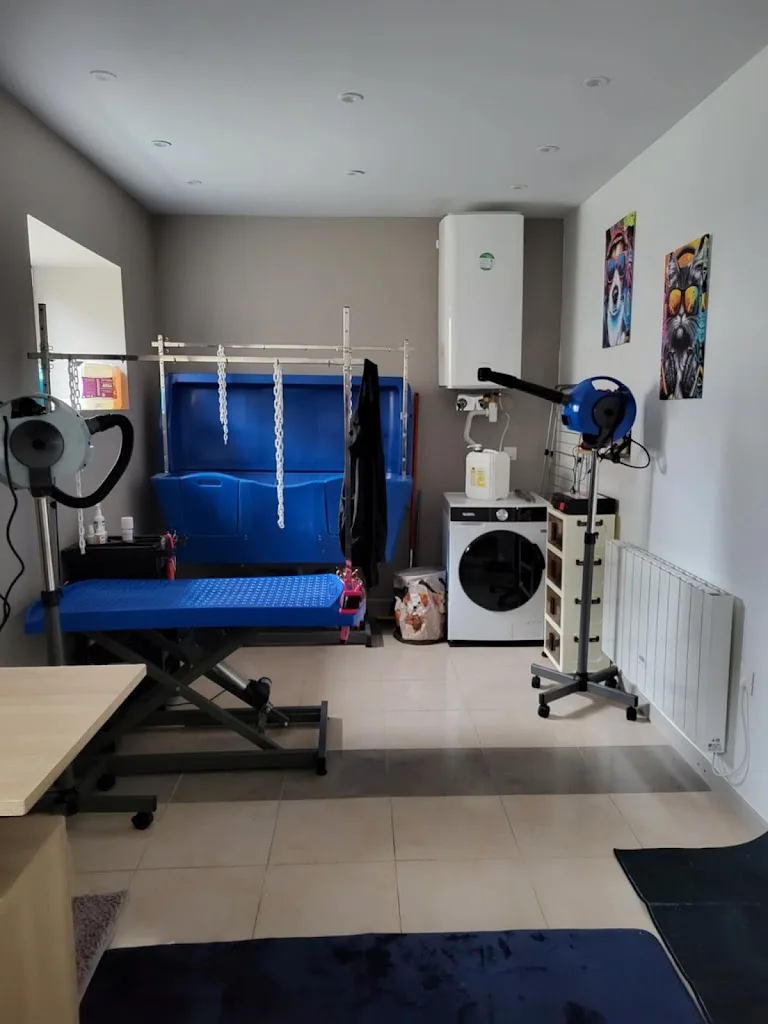 Rock'n wouf Toilettage (uniquement sur rdv) - photo 1
