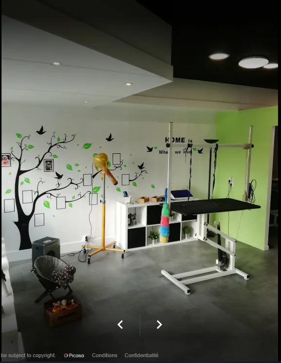 Espace Canin - photo 3