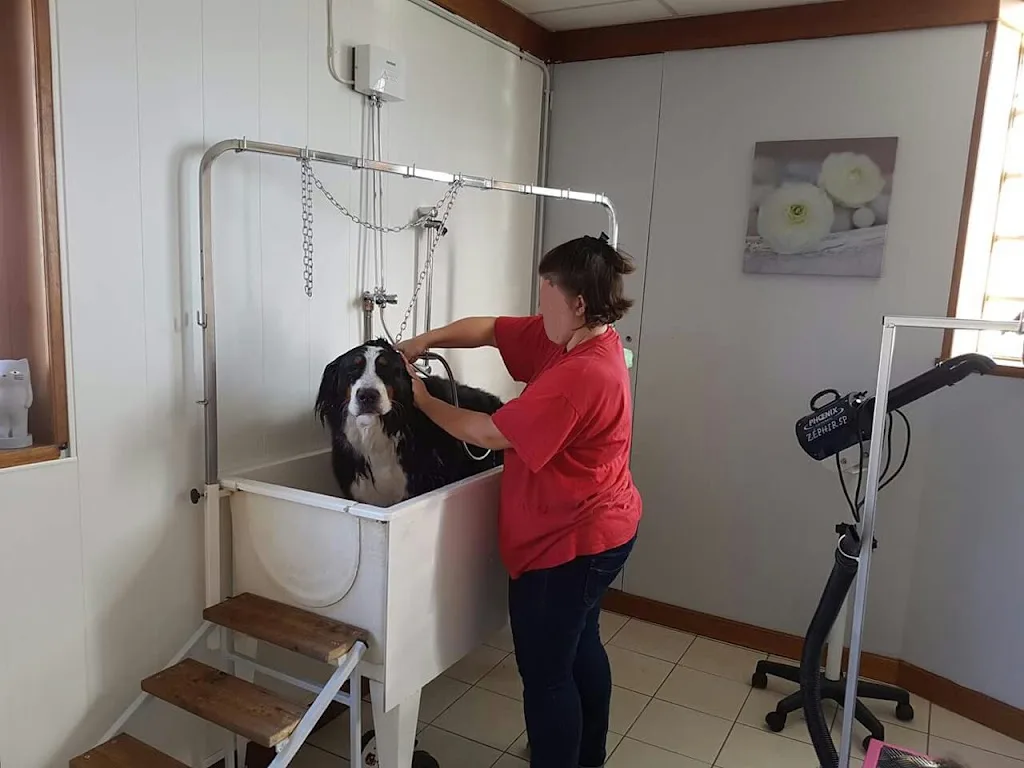 A Tous Poils Artisan Toiletteur - photo 2