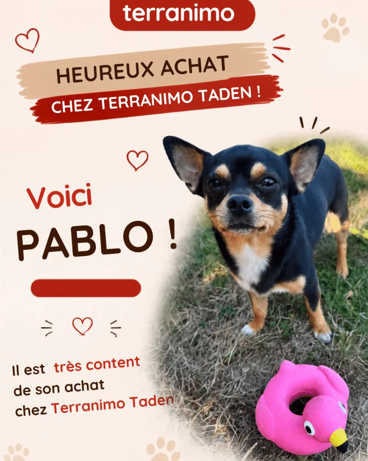 Terranimo Dinan Animalerie, Dogwash et Salon de toilettage - photo 2