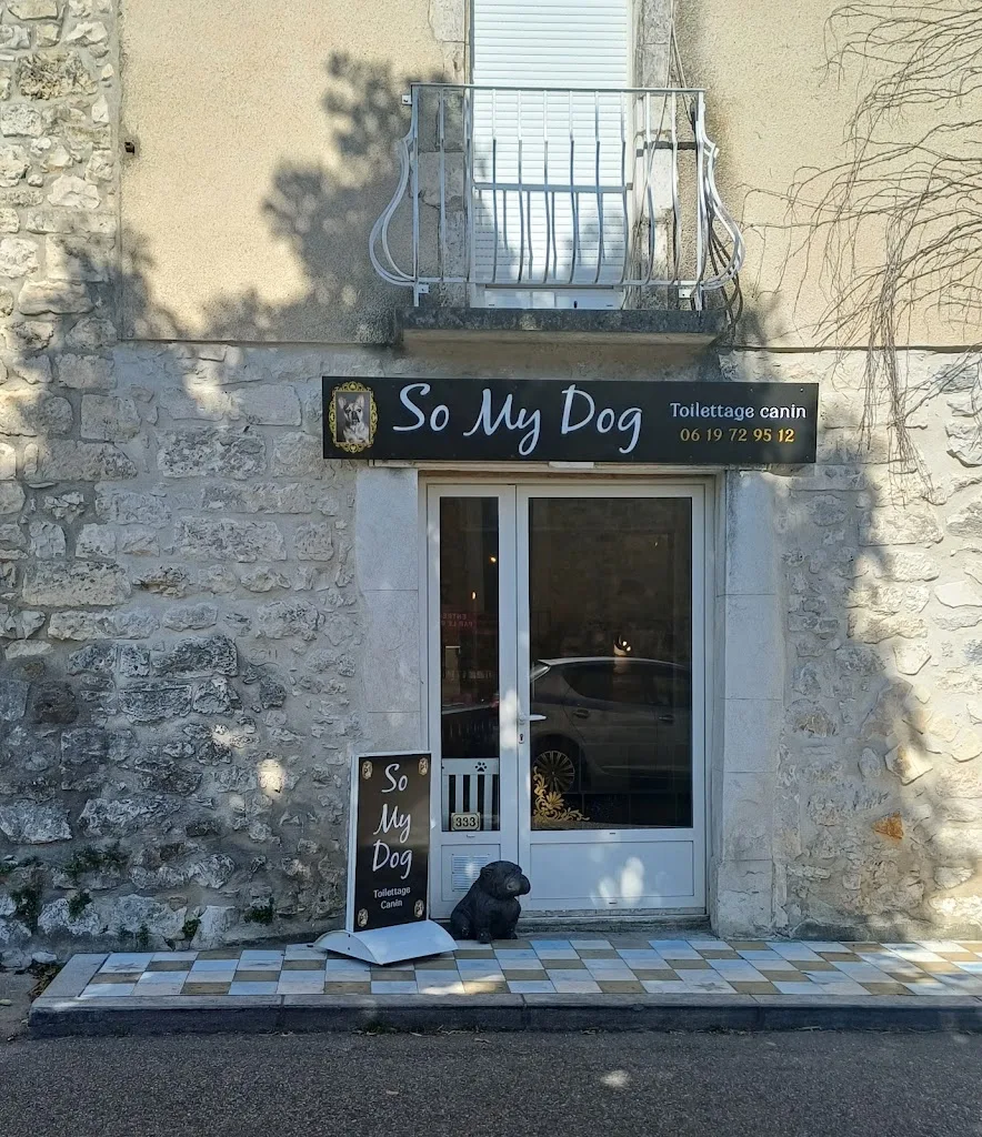 So My Dog - photo 3