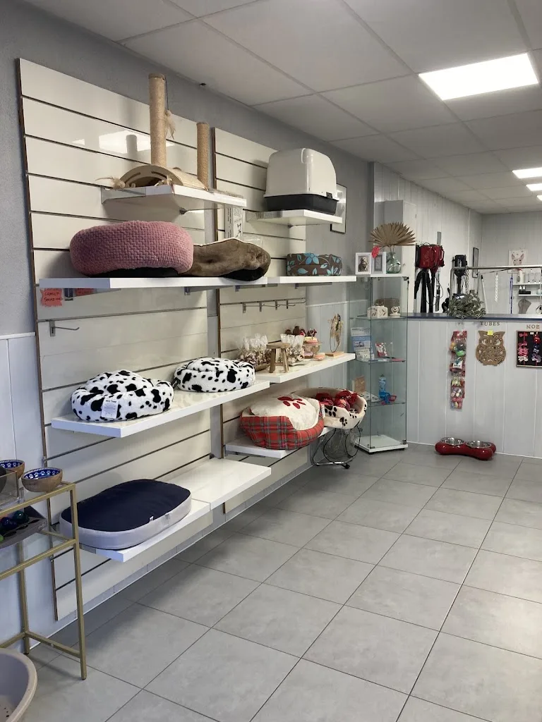Au Basset Coquet - photo 2