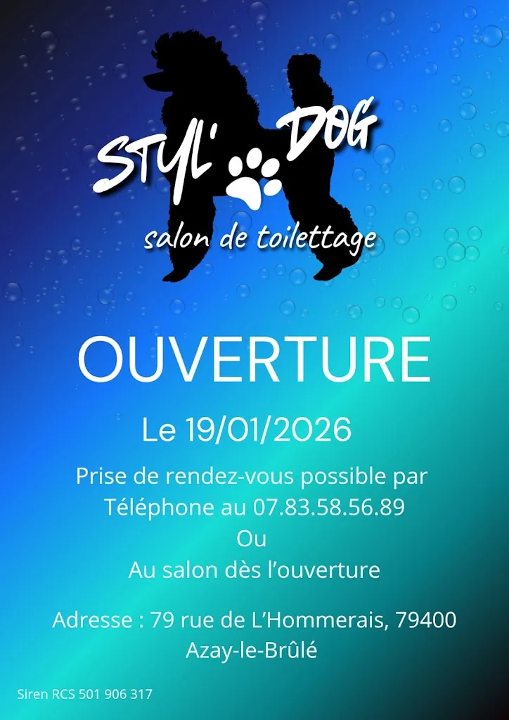 Styl'Dog toilettage - photo 1