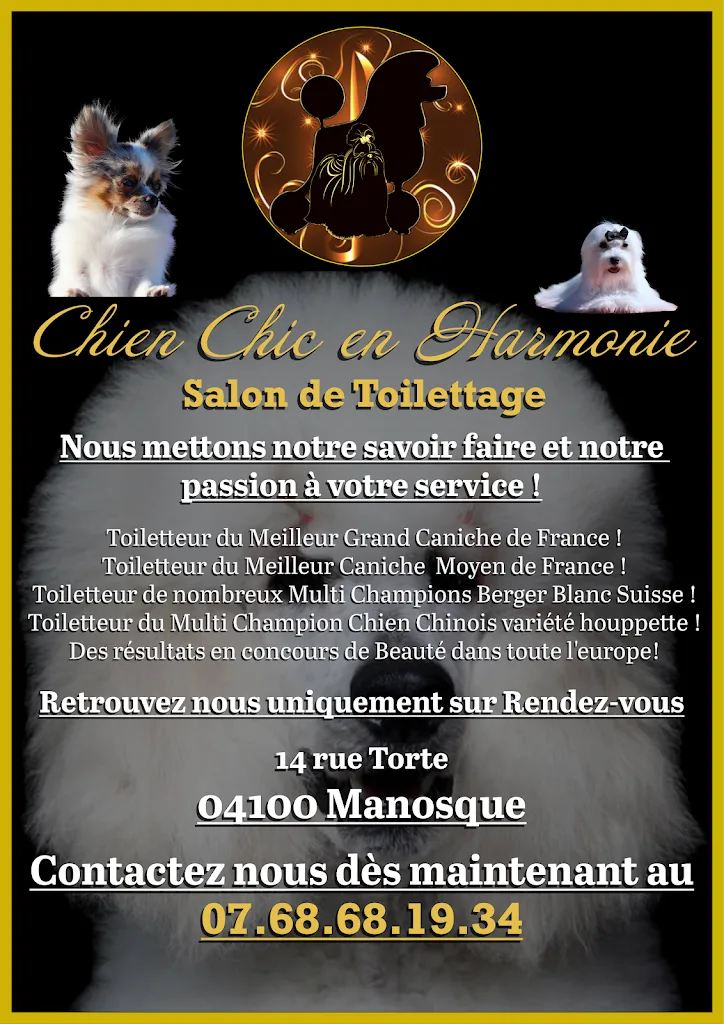 Chien Chic en Harmonie - photo 1