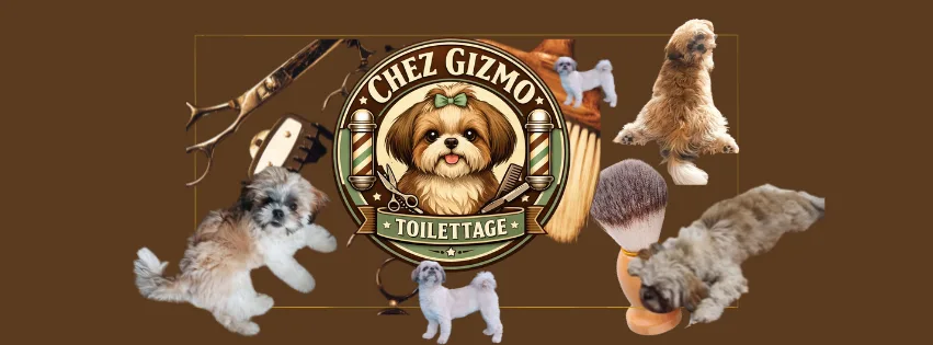 Chez Gizmo Toilettage - photo 1