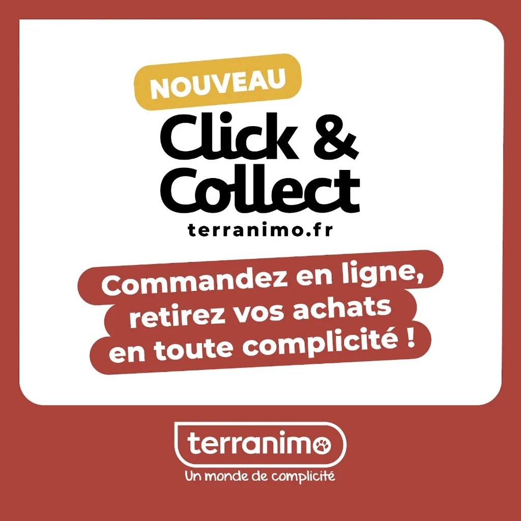 Terranimo - Rennes Animalerie, Salon de toilettage, Pet Sitting - photo 2