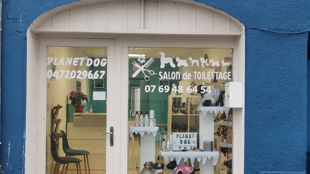 Aristodogs - photo 2