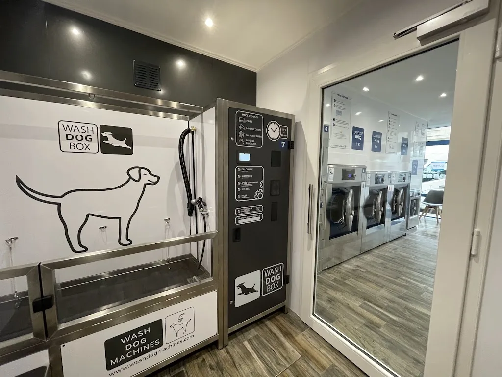 Laverie et DogWash des châteaux - Loches centre - photo 2